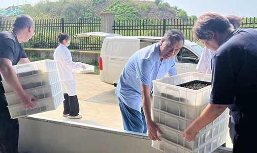 ˹ҵ7790طźʽת