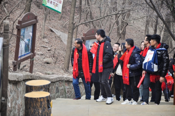 _DSC0869 _DSC0869.jpg