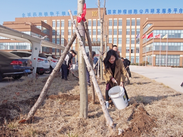 P1010037_副本 P1010037_副本.jpg