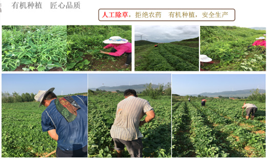 ɽ7790طȪũҵƼ޹˾ٻɽʡִũҵƼģ